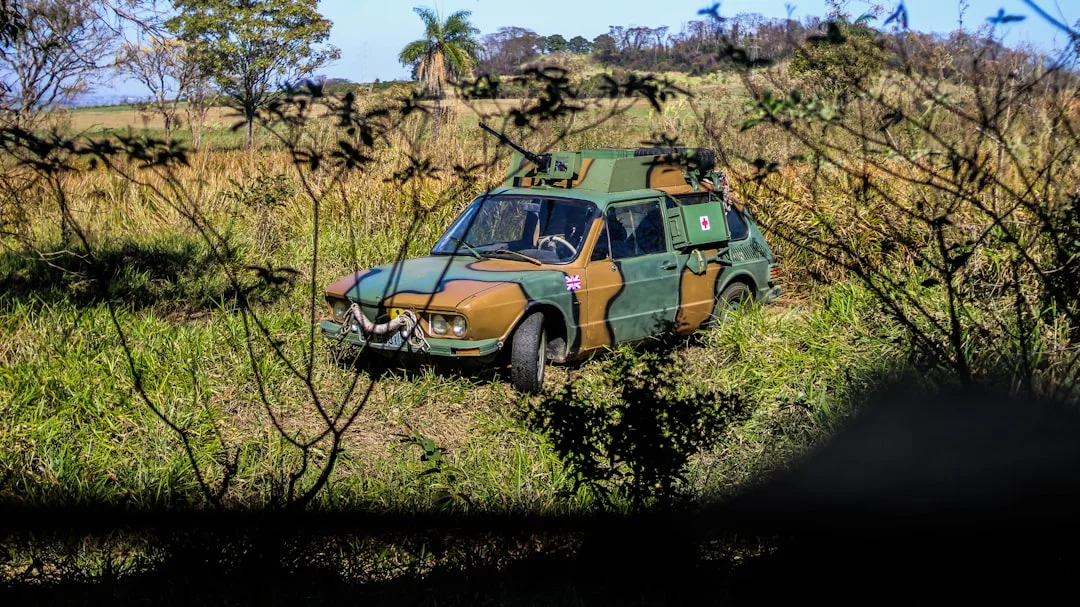 Buffalo Springs gallery 1