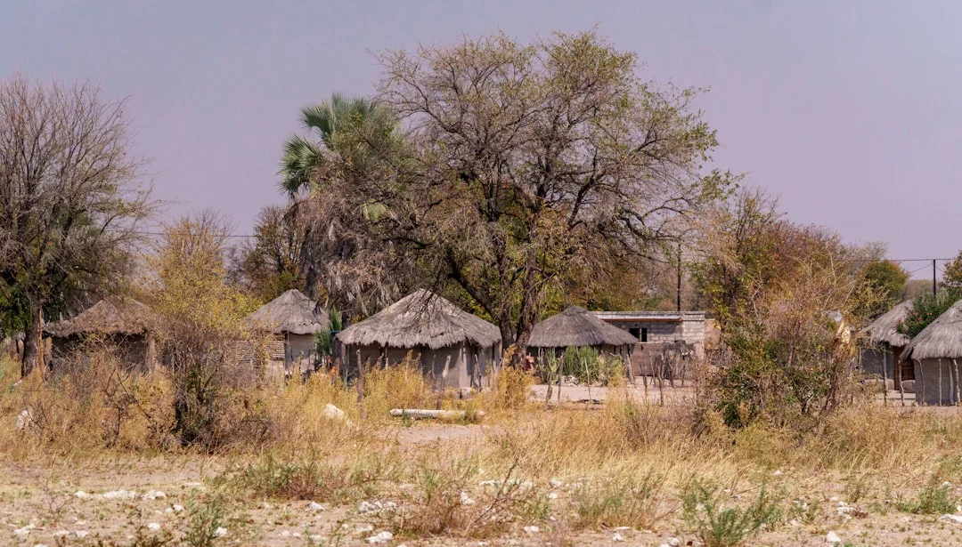 Central Kenya Highlands