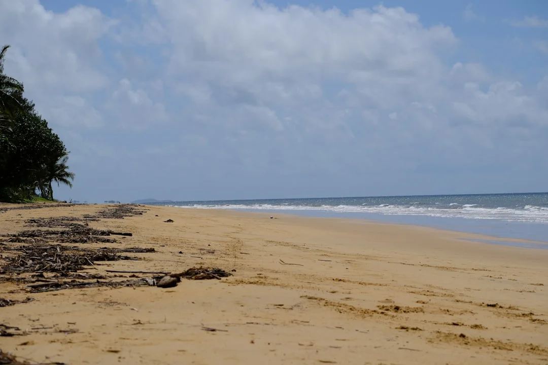 Diani Beach gallery 2