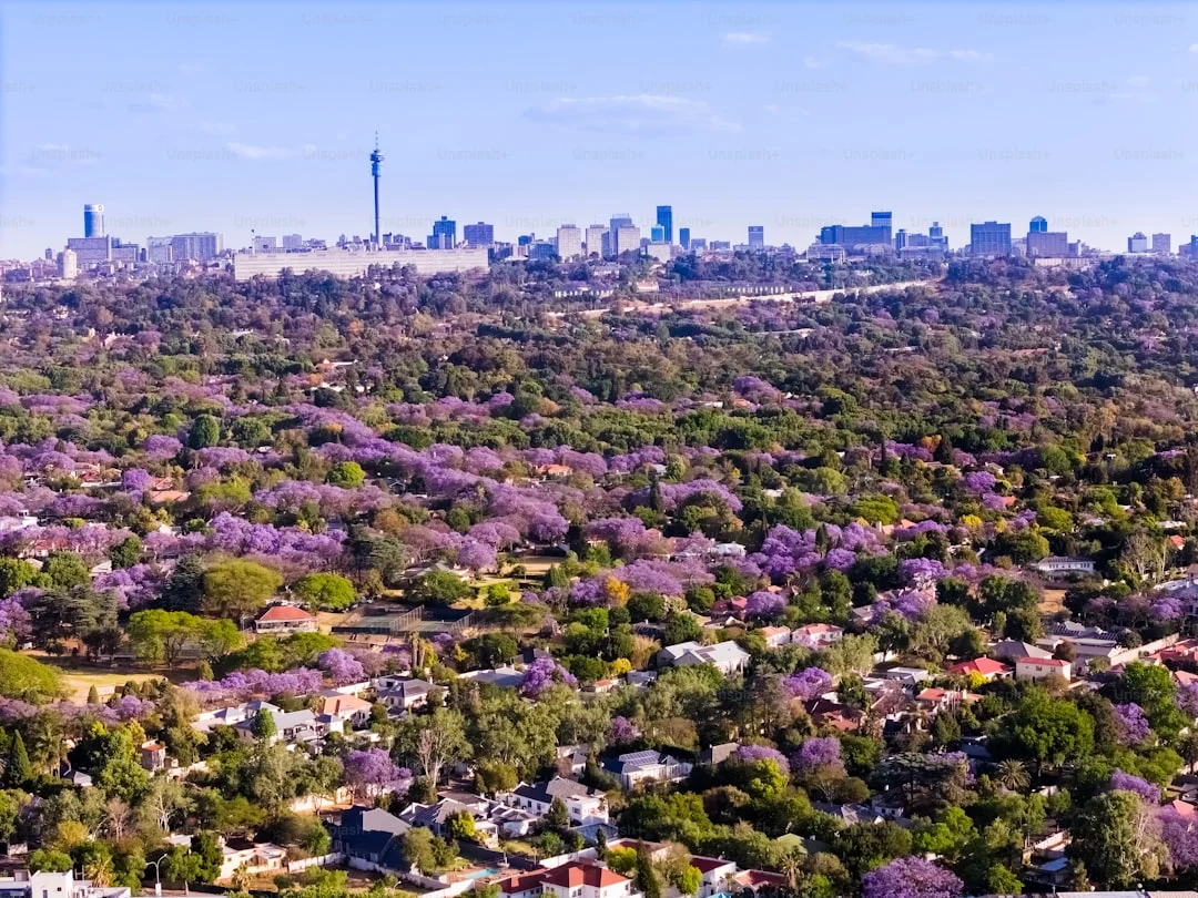 Hippo Pools gallery 1