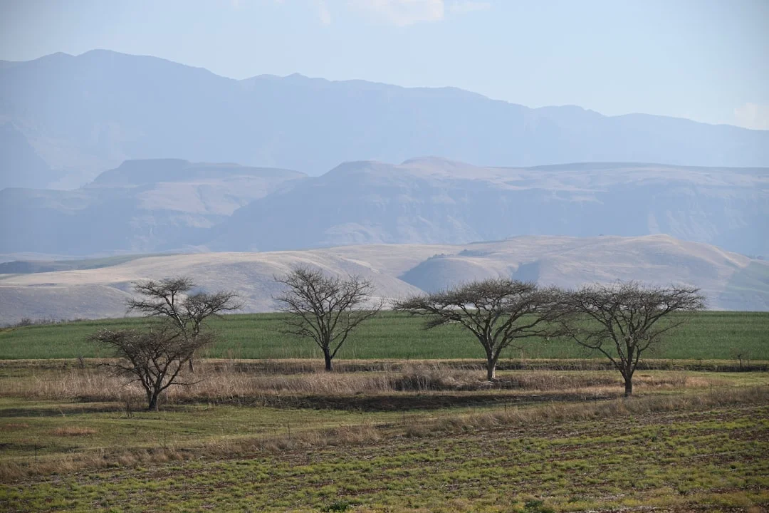Katavi National Park