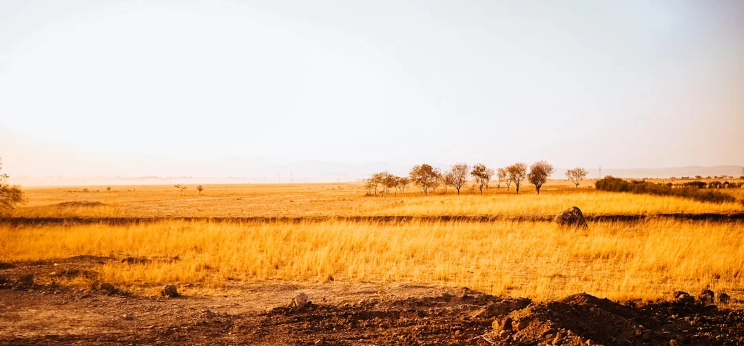 Katavi National Park gallery 2