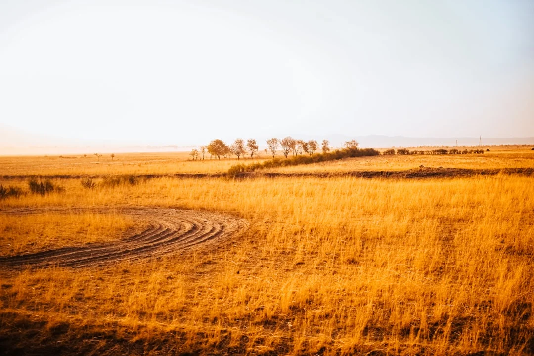 Katavi National Park gallery 3