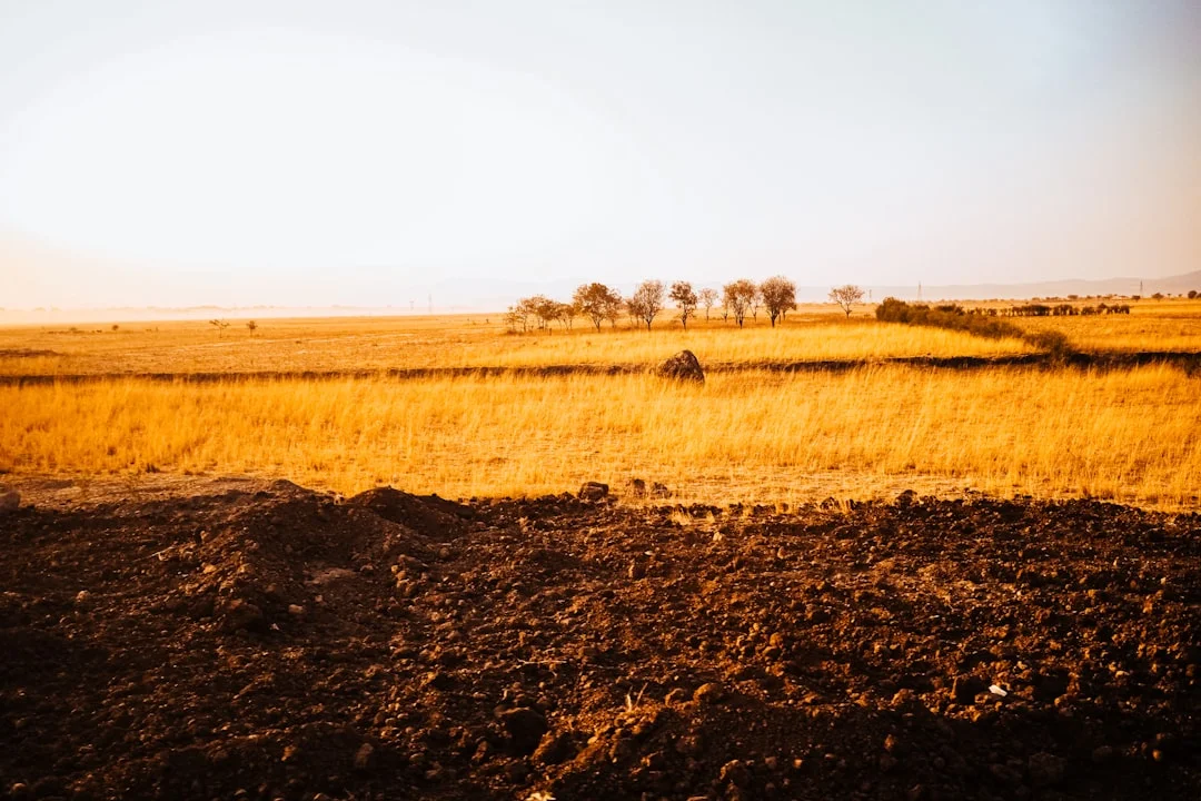 Katavi National Park gallery 4