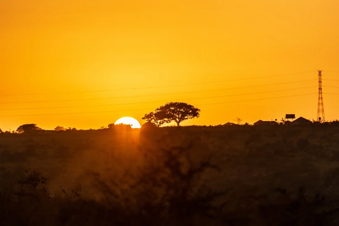 Kenya Coast gallery 1