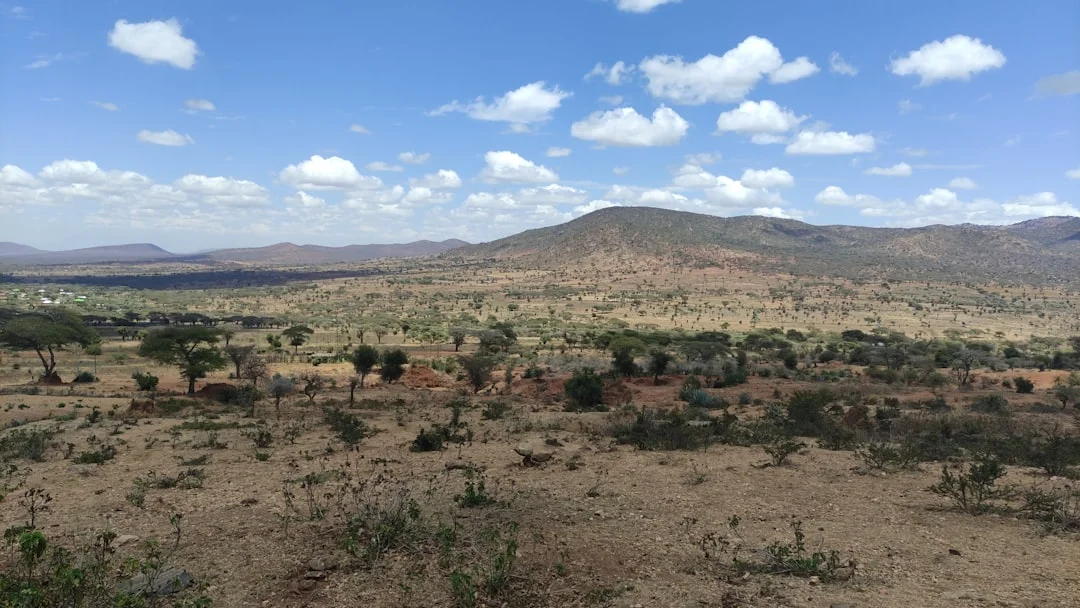 Lake Eyasi gallery 1