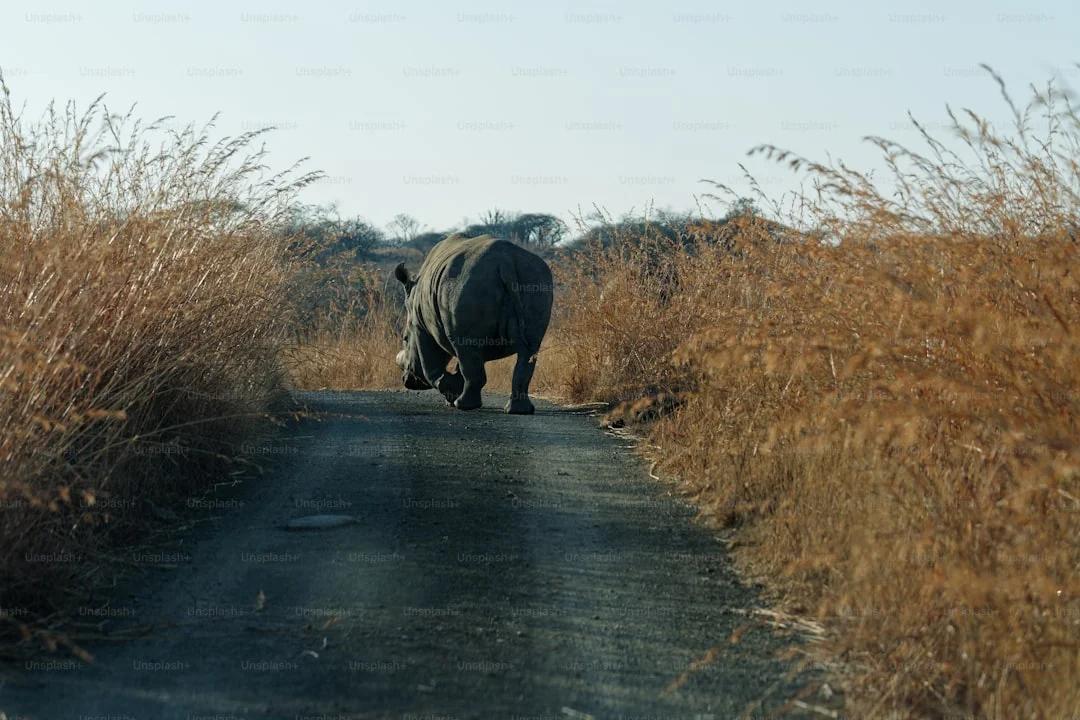 Lake Manyara National Park gallery 2