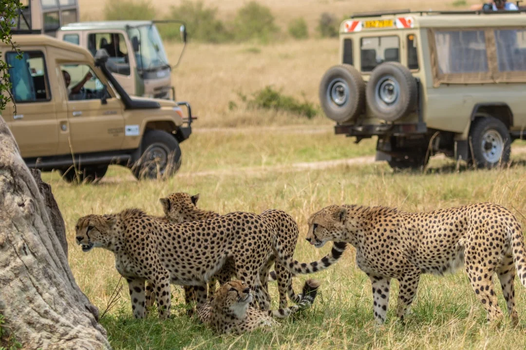 Lake Nakuru National Park