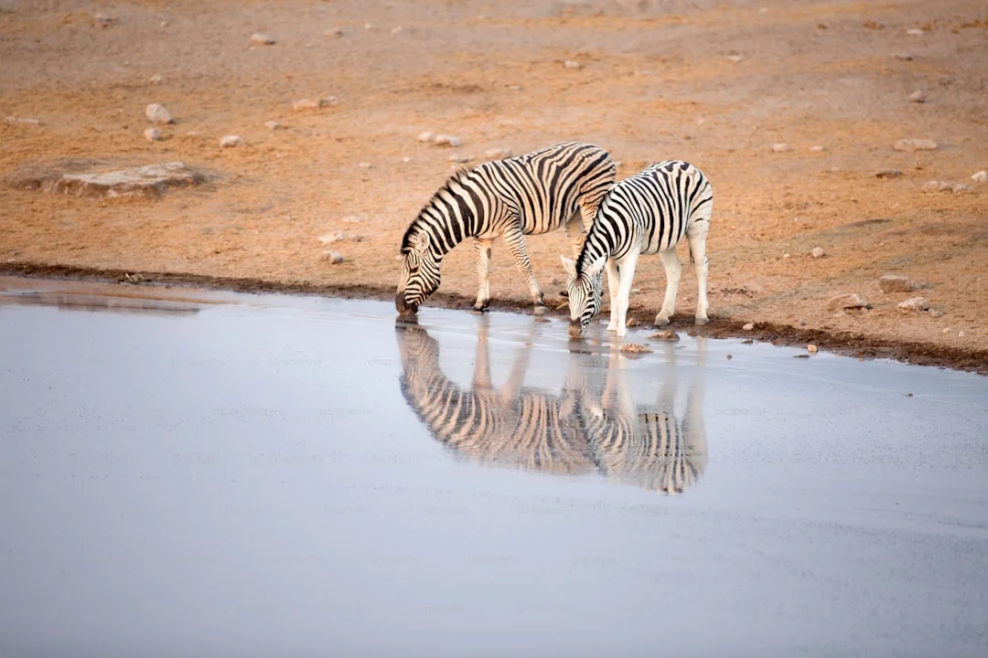 Lake Natron