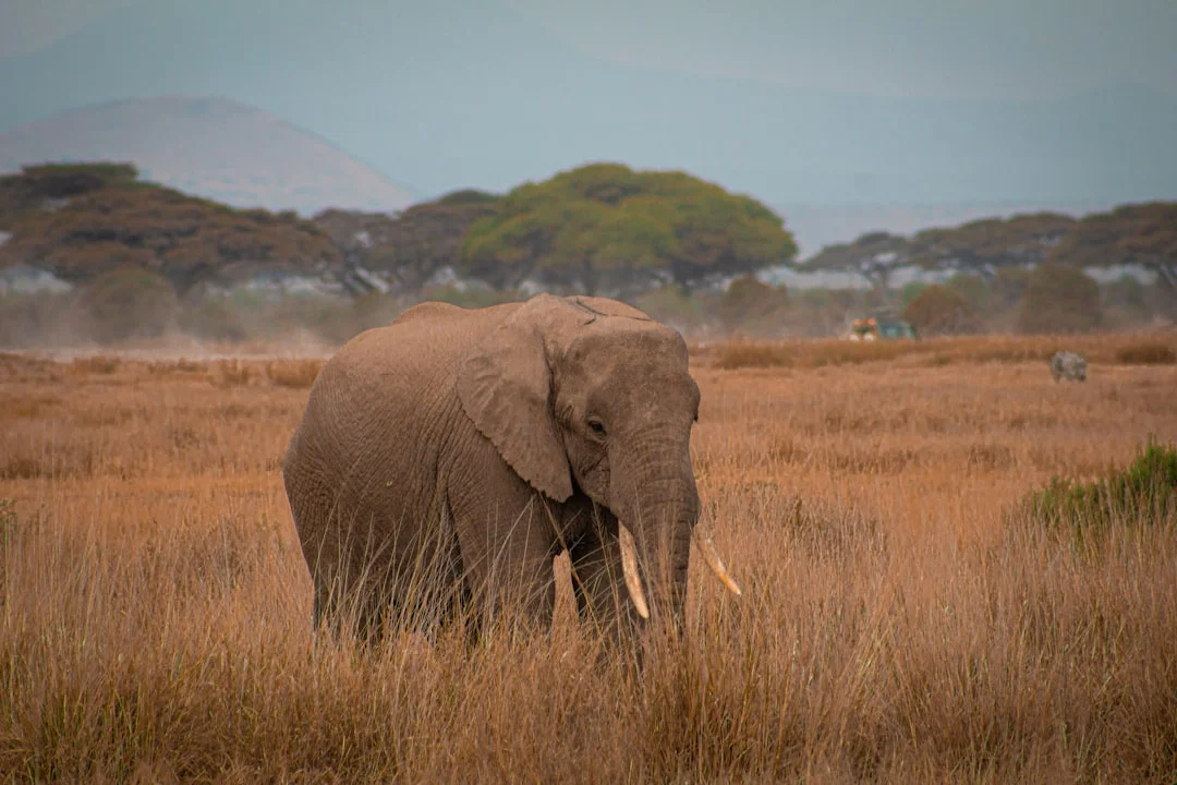 Lake Natron gallery 2