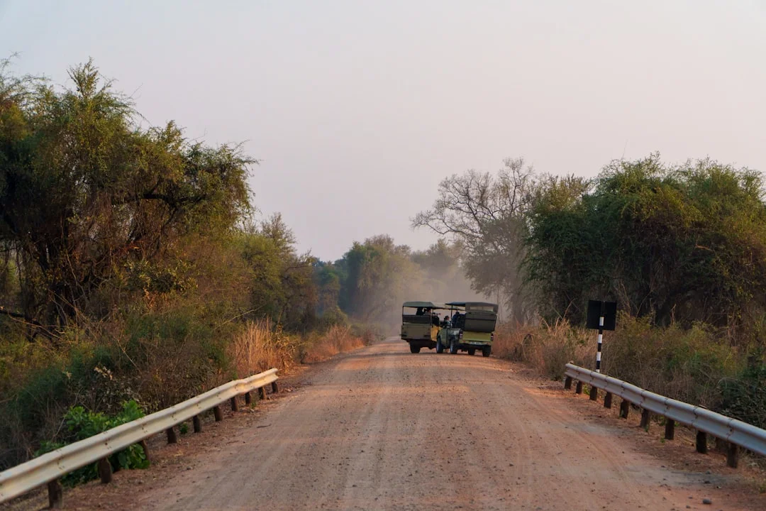 Mabamba Wetlands