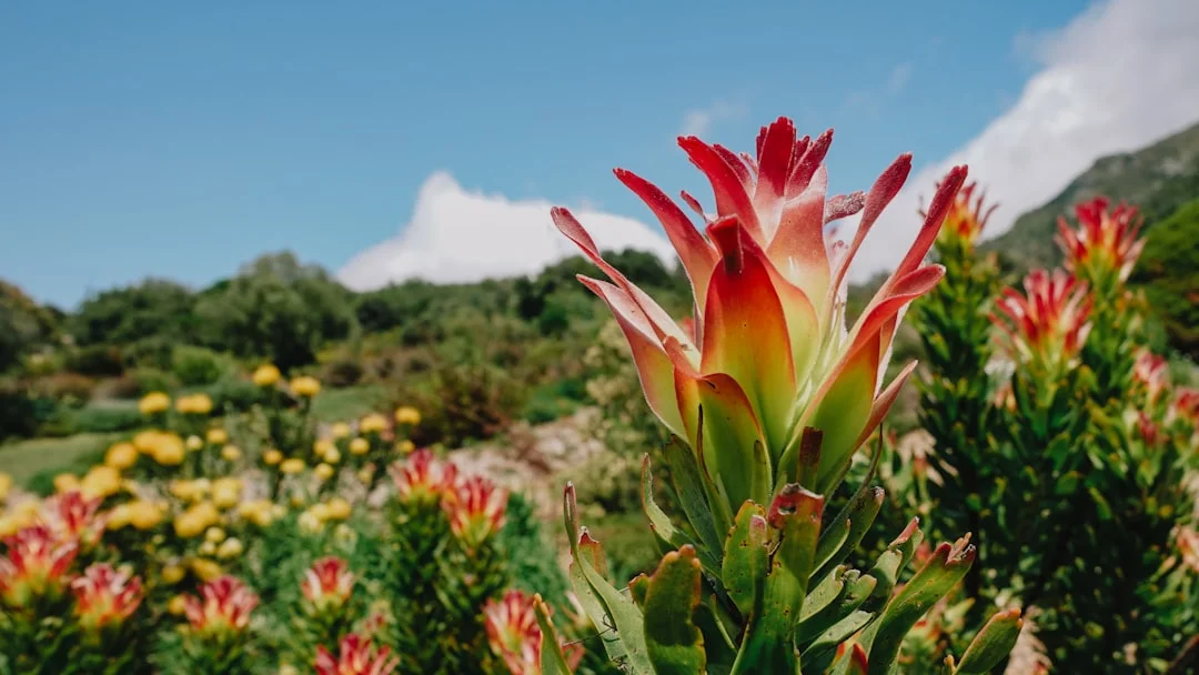 Mara Triangle gallery 2