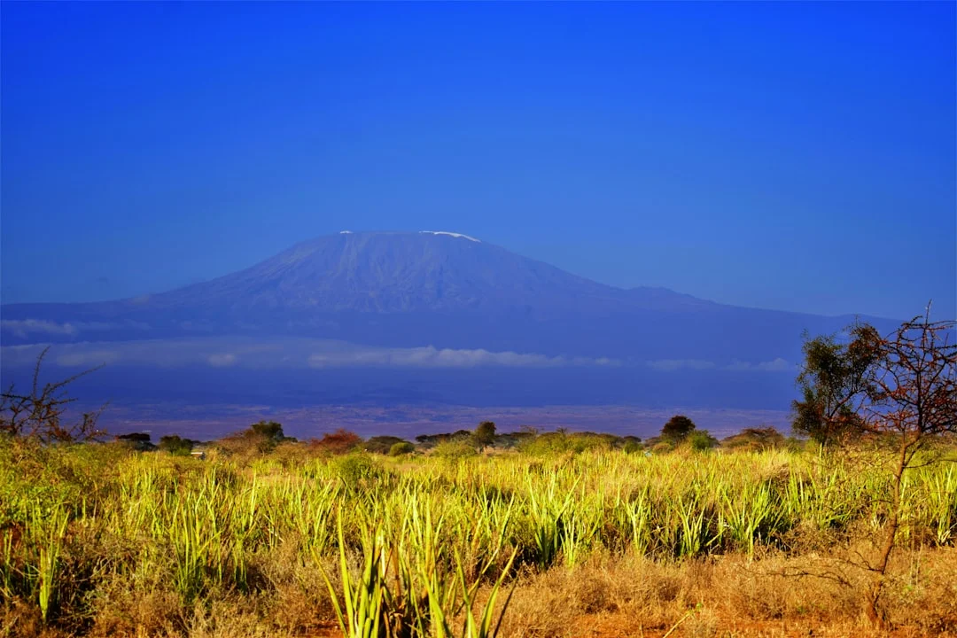 Mount Kilimanjaro gallery 1