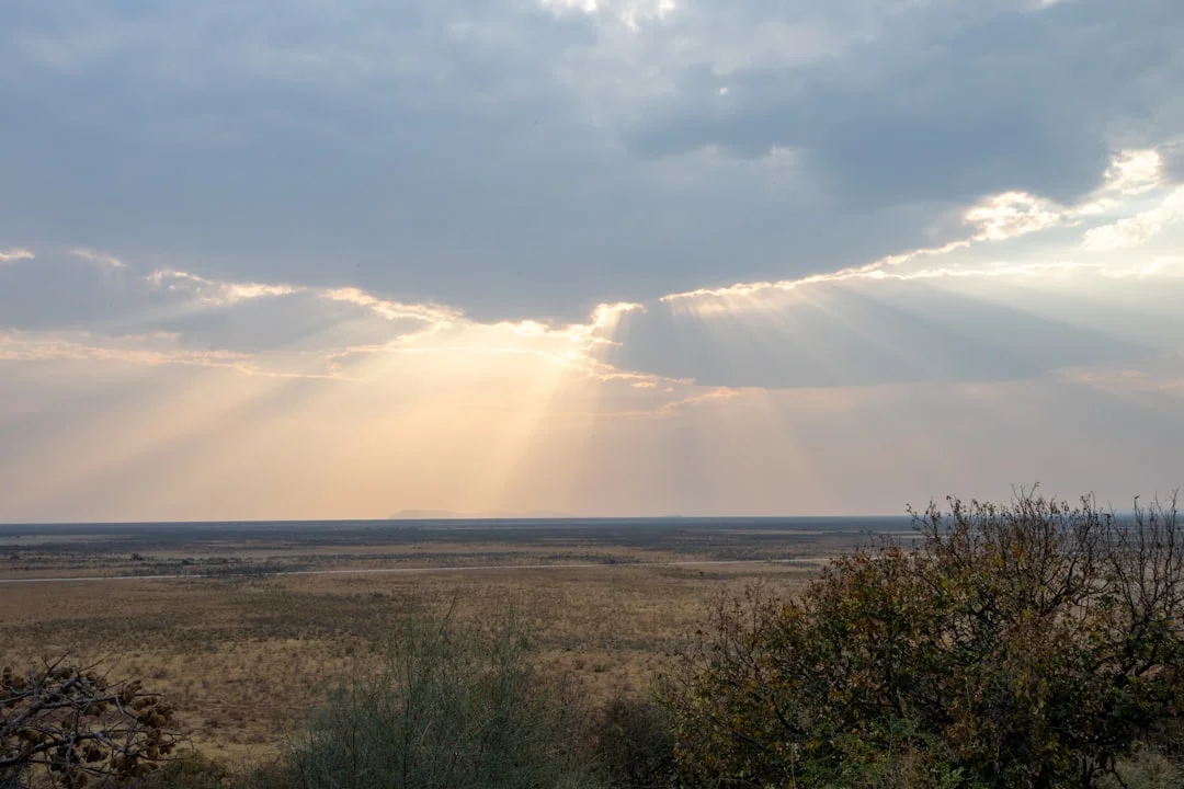 Murchison Falls National Park gallery 3