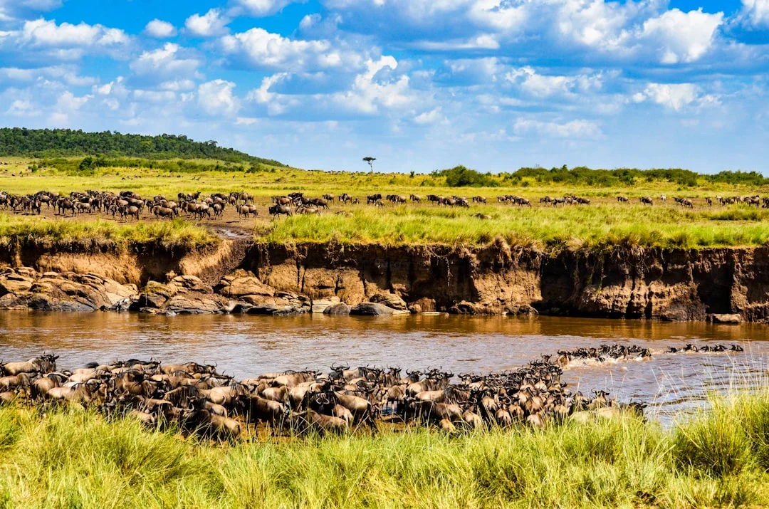 Northern Serengeti