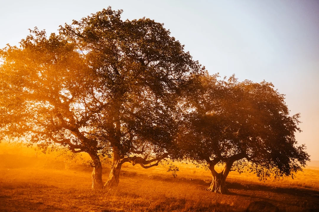 Queen Elizabeth National Park gallery 2
