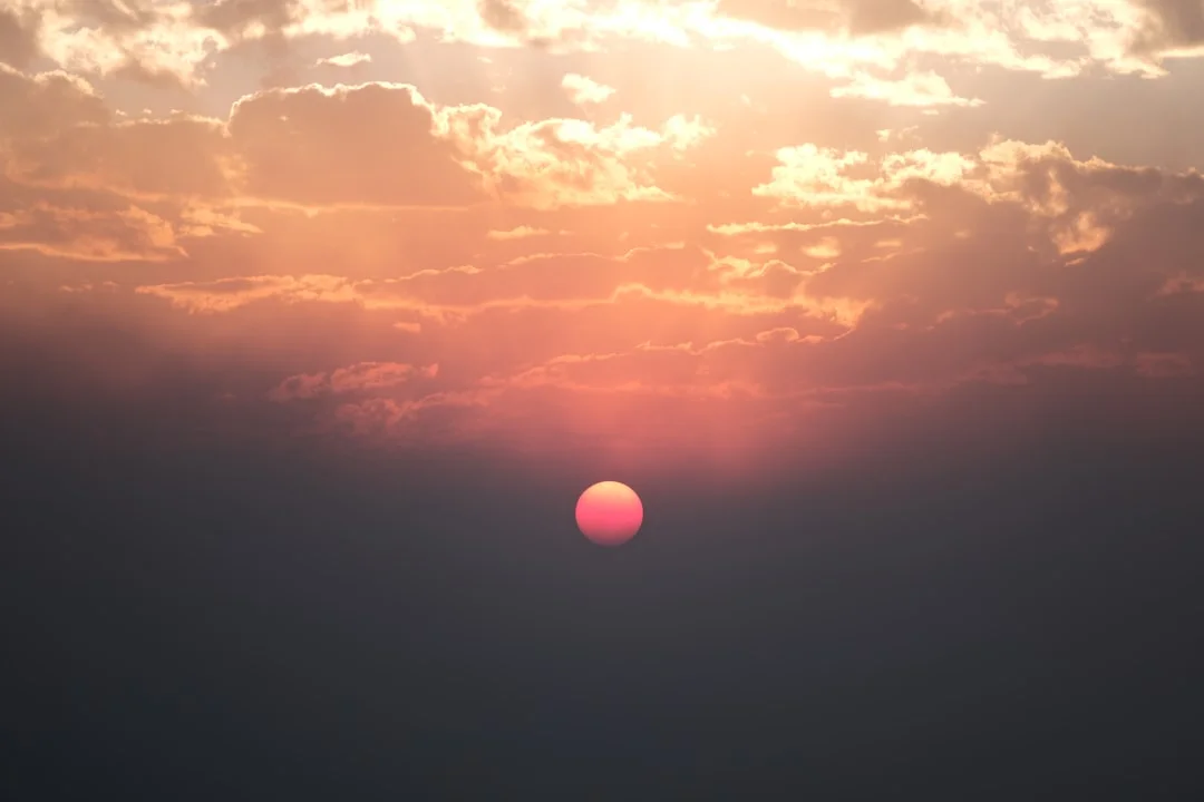 Selous Game Reserve gallery 2