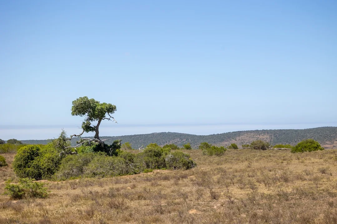 Serengeti National Park gallery 1