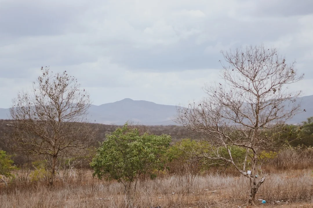 Serengeti National Park gallery 2