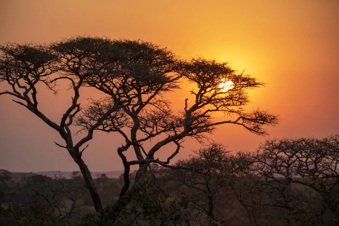 Shaba National Reserve gallery 1
