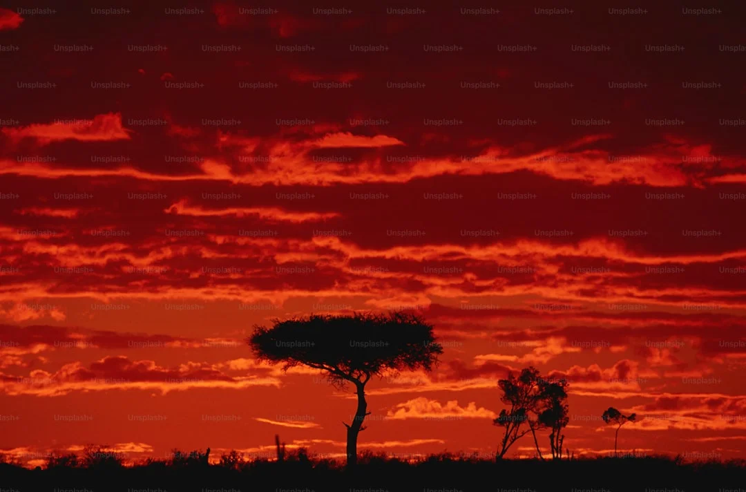 Tsavo East National Park gallery 1