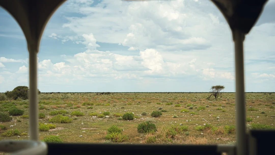 Zanzibar Archipelago gallery 4