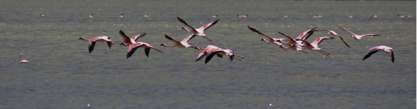 Lake Manyara National Park