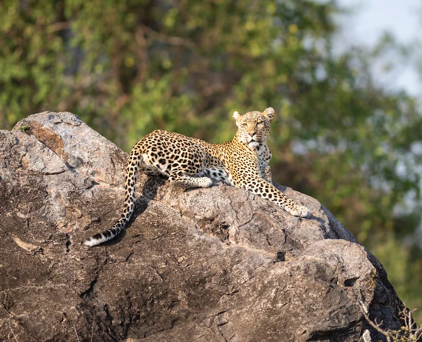 Nyerere National Park