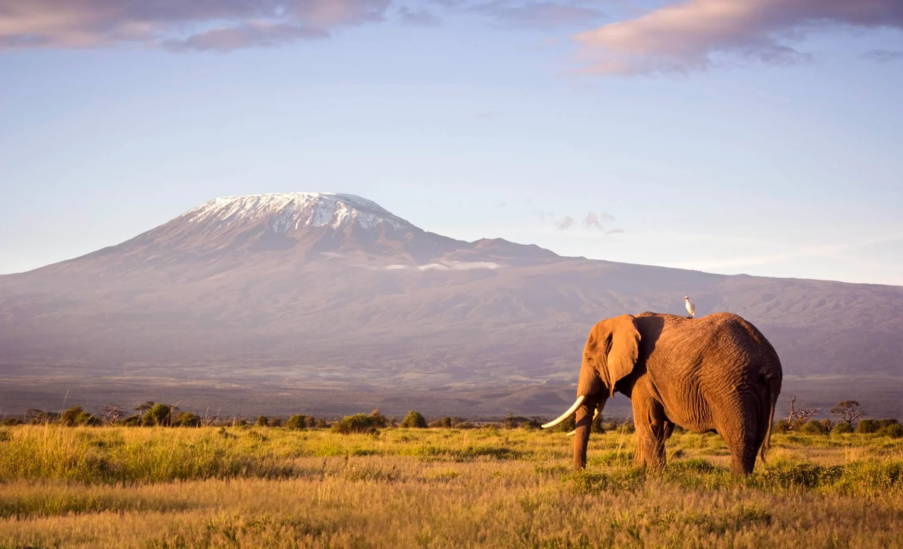West Kilimanjaro