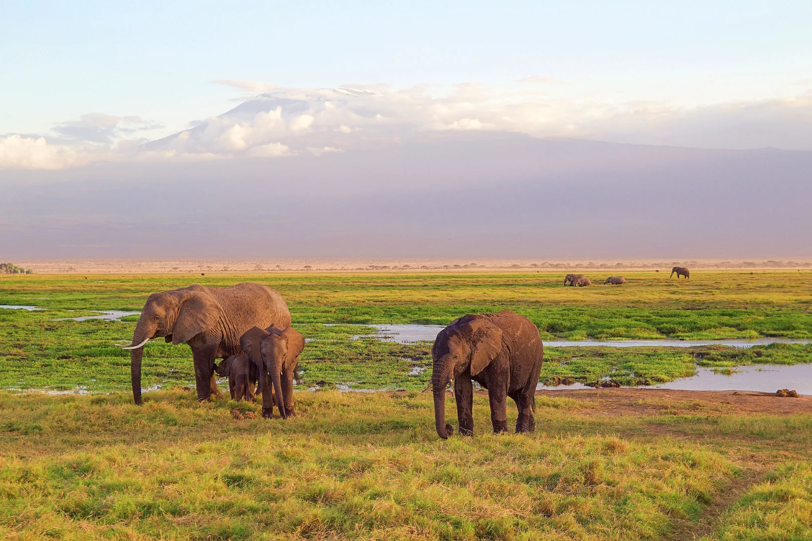 West Kilimanjaro gallery 1