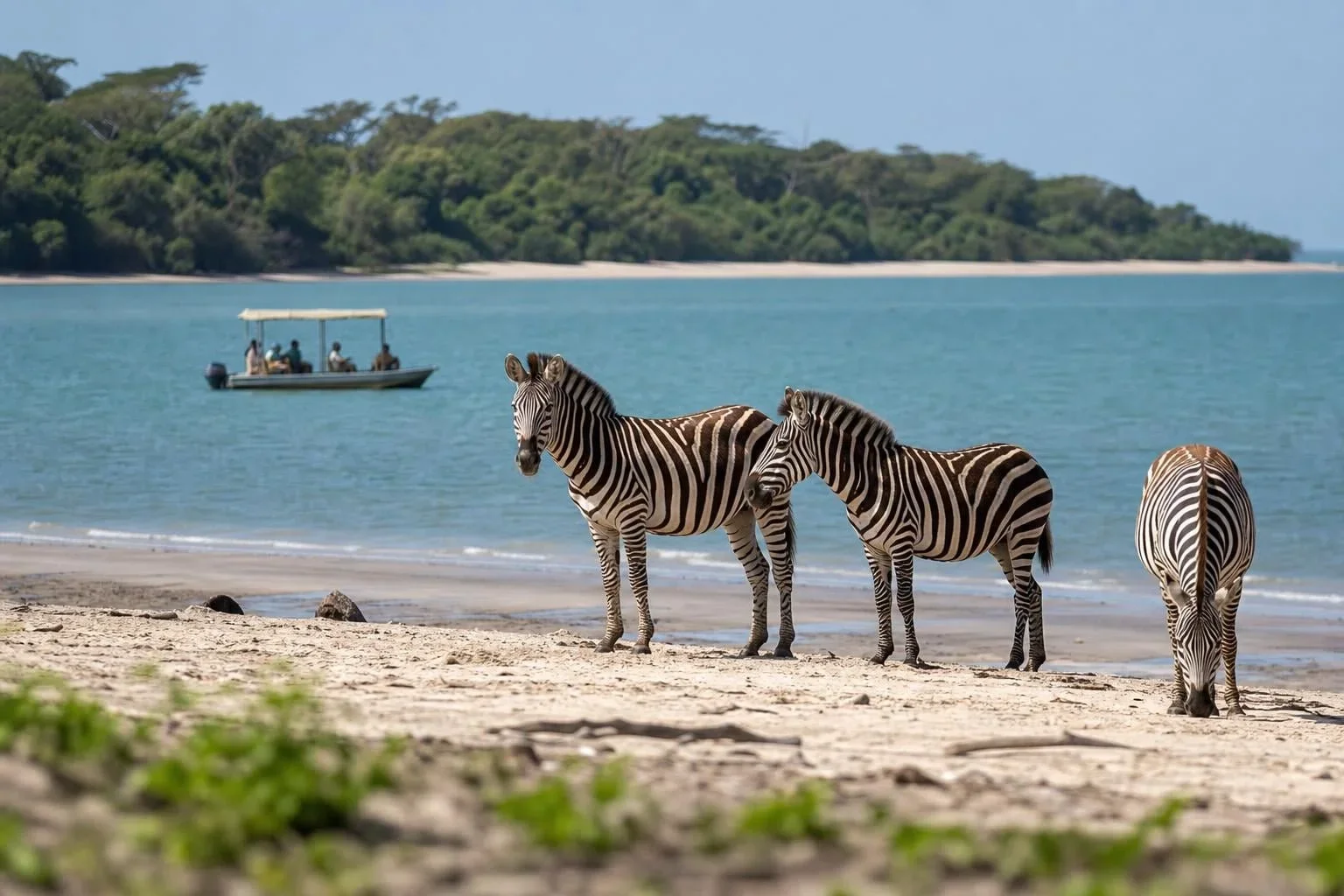 Saadani National Park