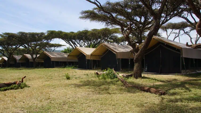 Ngorongoro Kuhama Camp photo 3