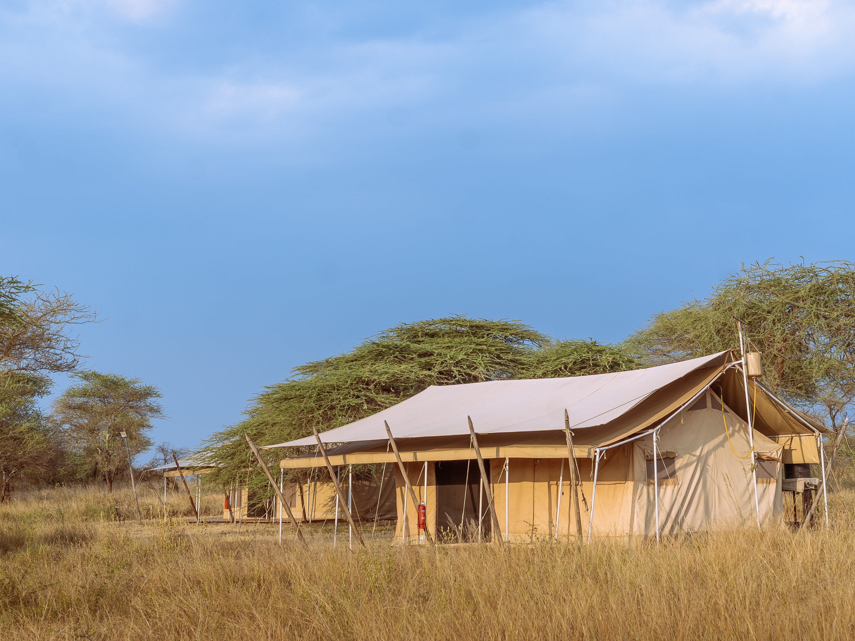The Whisper Serengeti photo 3