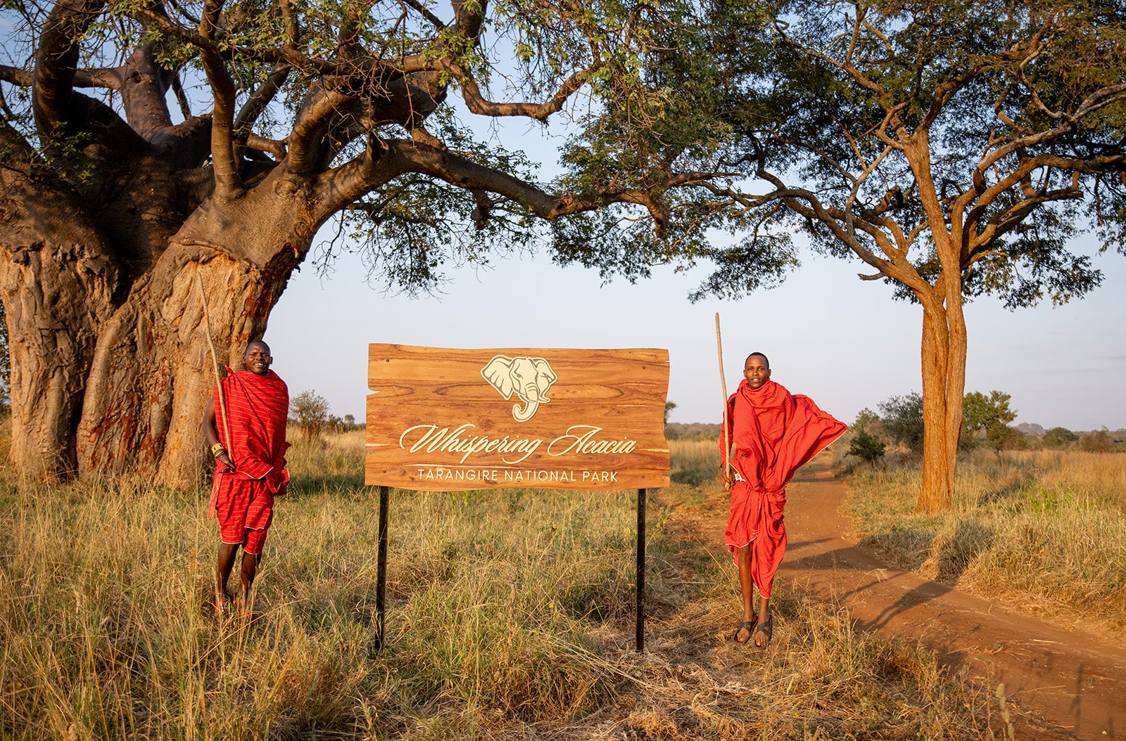 The Whispering Accacia Tarangire photo 4