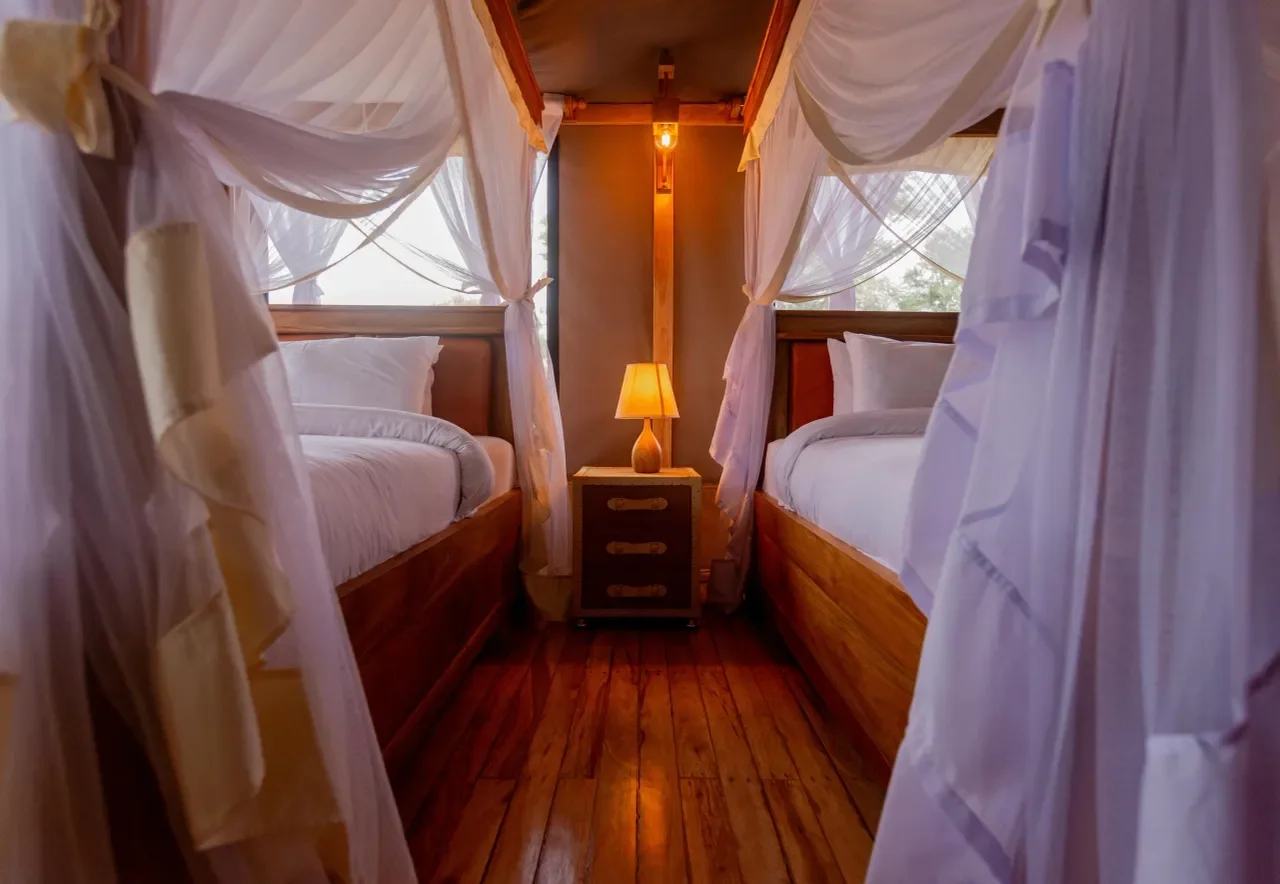 Signature Serengeti Luxury Camp photo 4