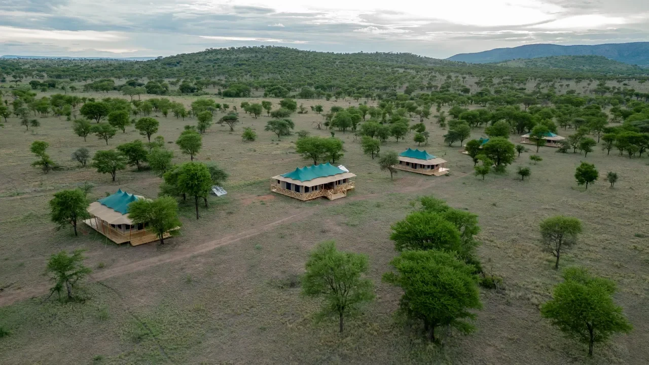 Signature Serengeti Luxury Camp photo 2