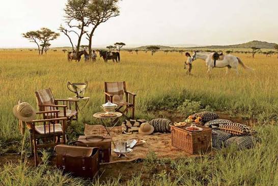 Singita Sasakwa Lodge photo 2