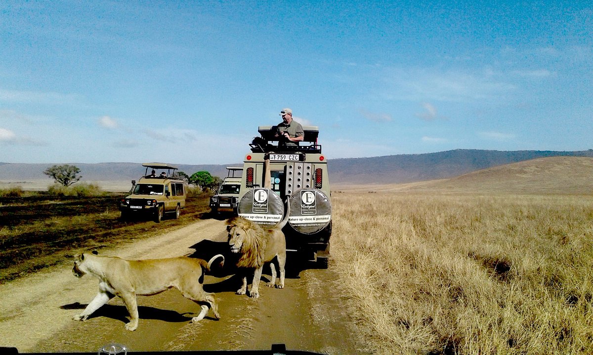 Ngorongoro Conservation Area gallery 1