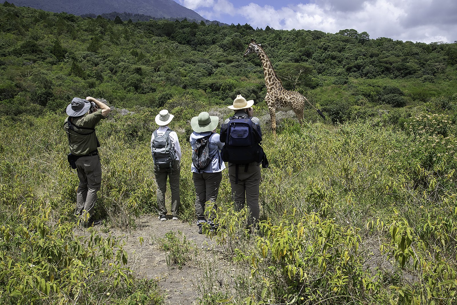 Arusha National Park Walking Safari