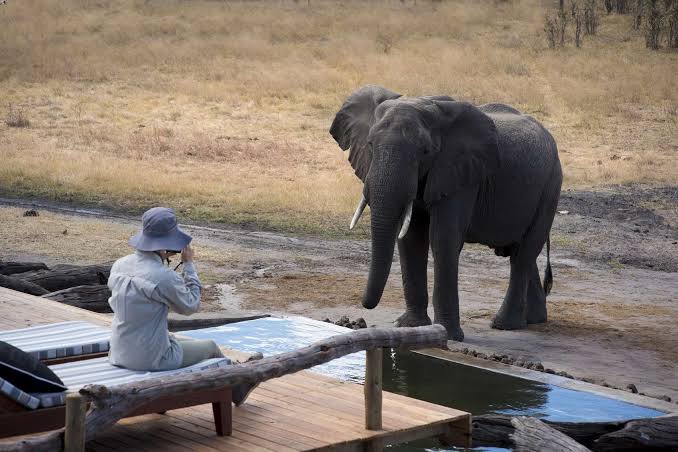 Zimbabwe gallery 1
