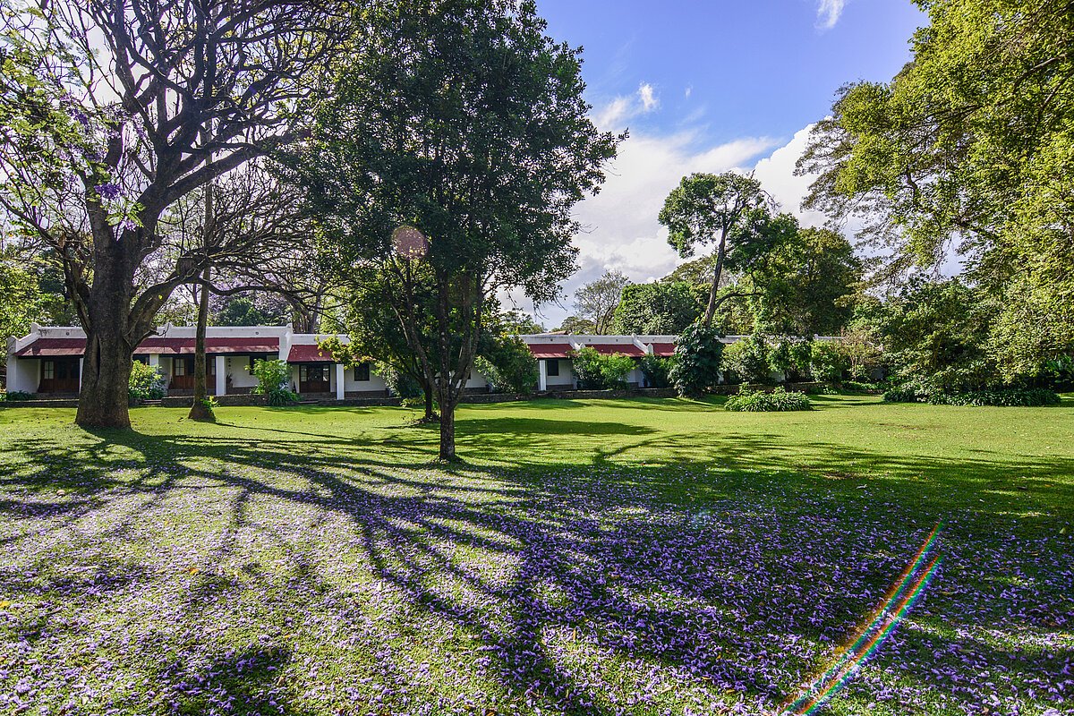 Ngare Sero Mountain Lodge