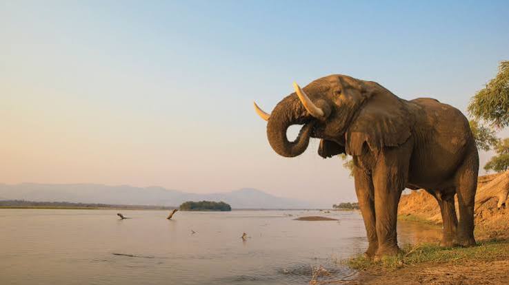 Zimbabwe gallery 2