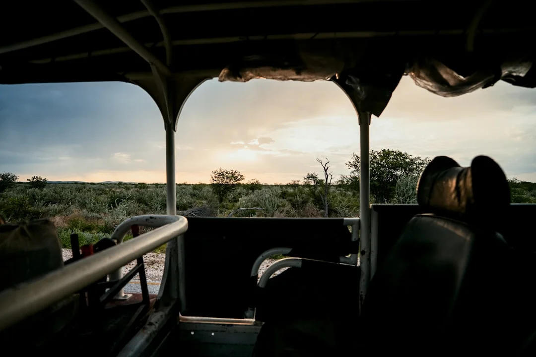 16-Day Mara River & Chimpanzee Safari Safari Overview