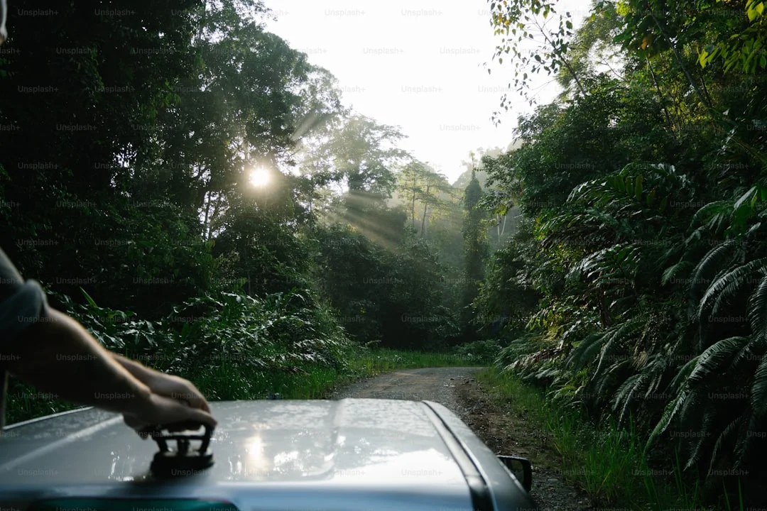 Rongai Route - Northern Wilderness Experience Safari Overview