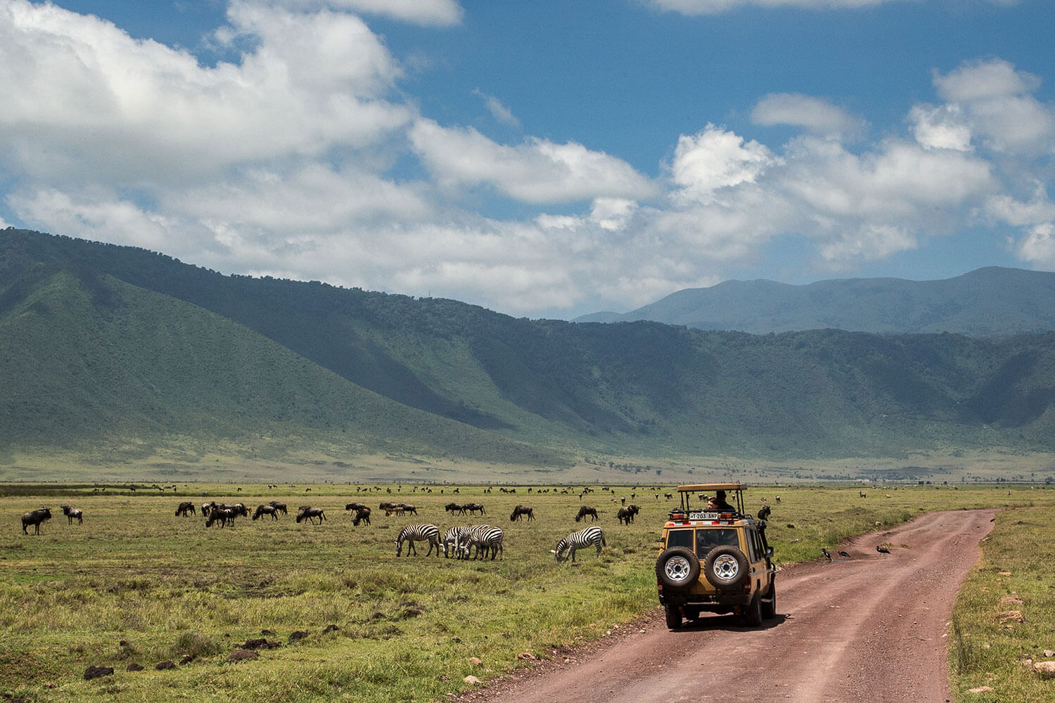 Ngorongoro & Serengeti Express