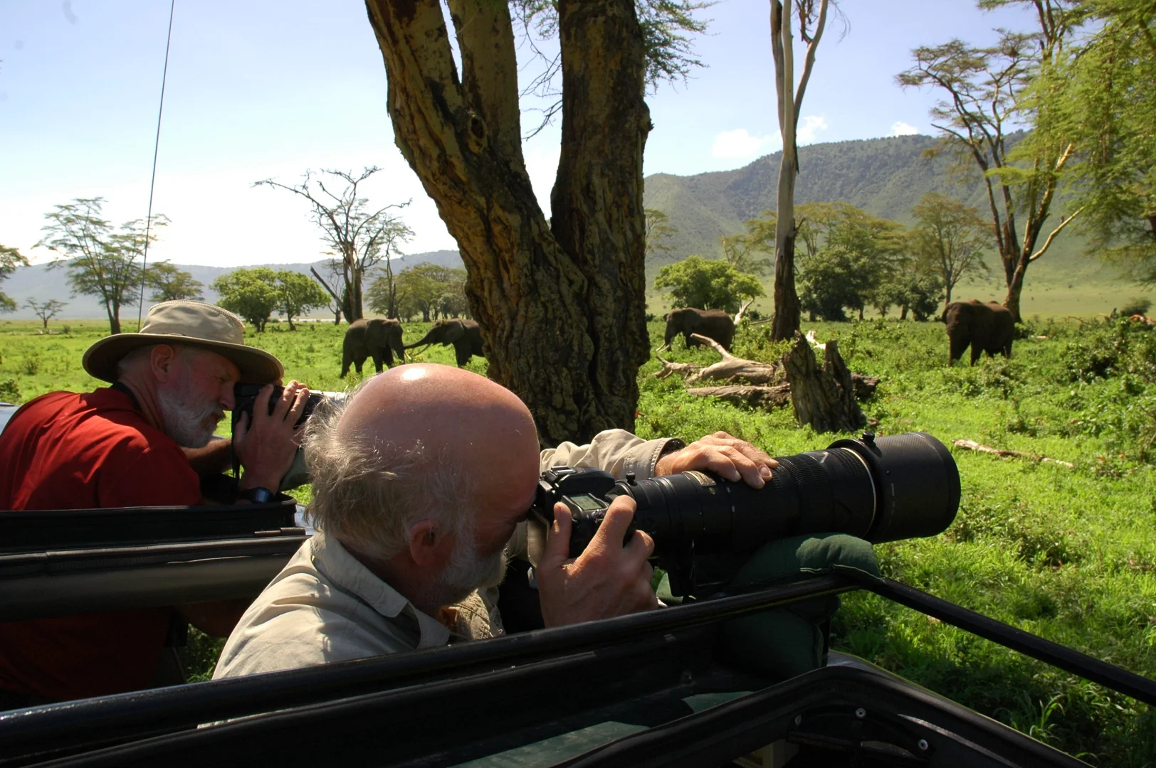 17-Day Great Migration Photographic Safari