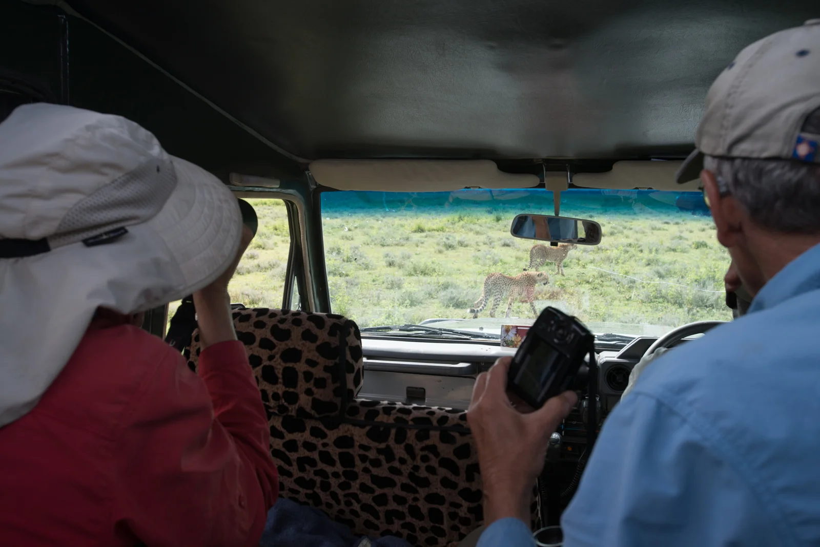 Kenya Safari & Diani Beach