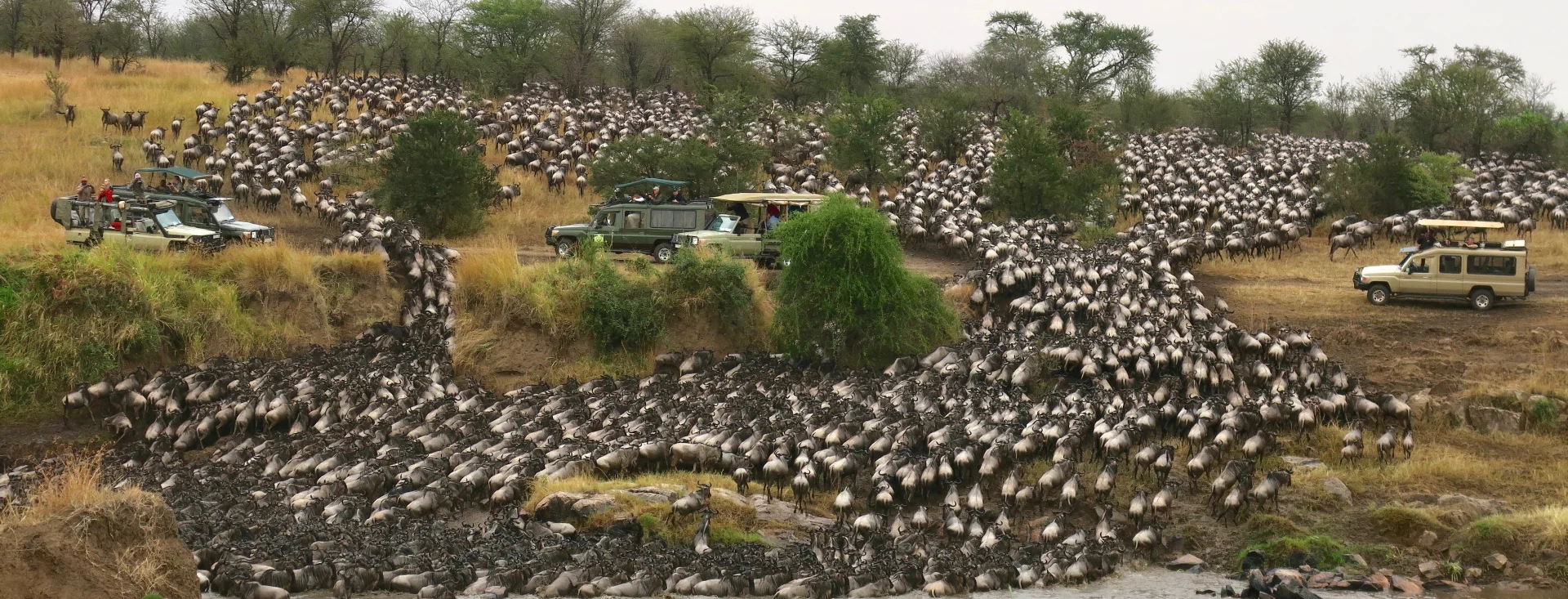 4 Day Mara River Flying in - out 