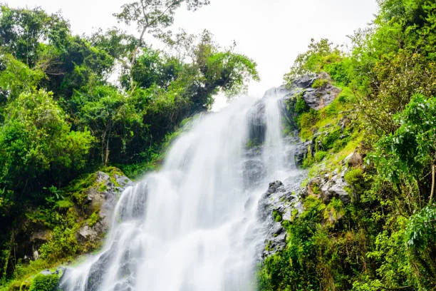 Materuni Waterfall & Coffee Plantation Tour