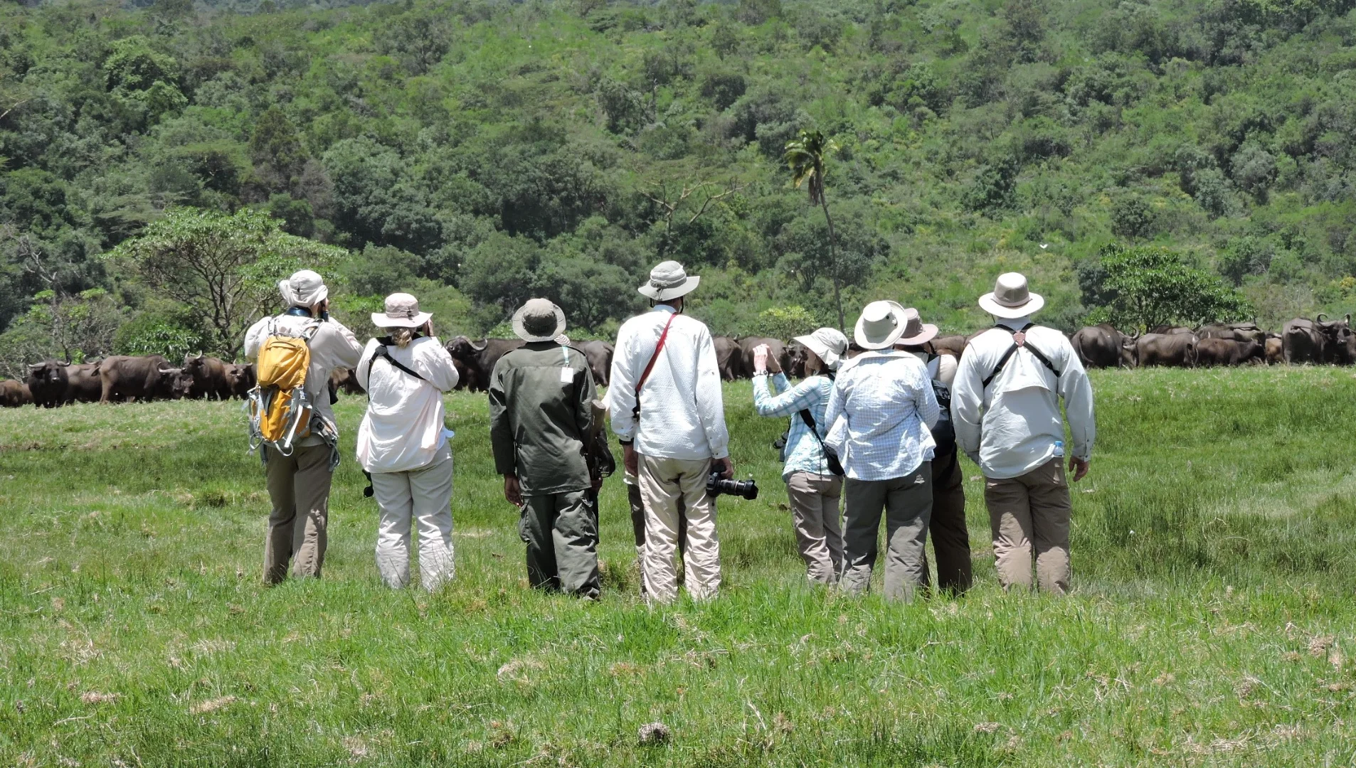 Arusha National Park Walking Safari